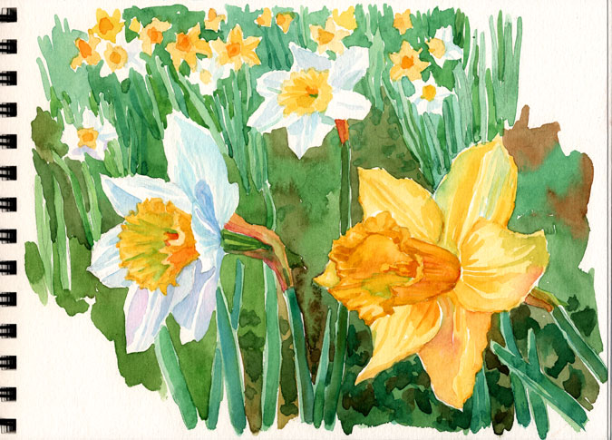daffodils poem by william wordsworth. A host, of golden daffodils;